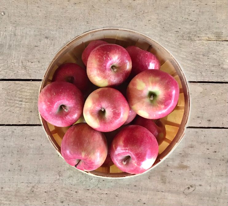 fuji apples