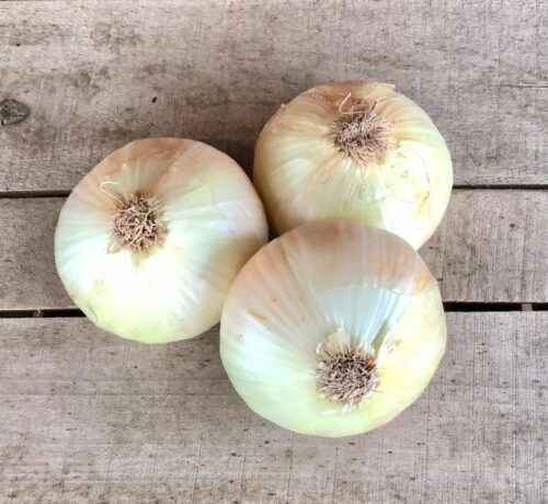 onions vidalia