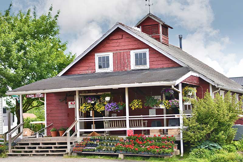 Terhune Farm Store