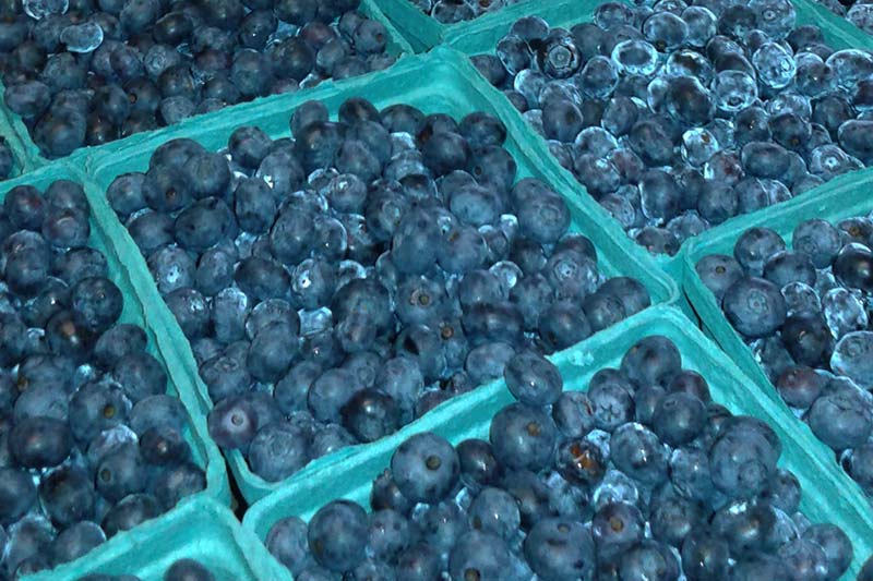 Blueberries