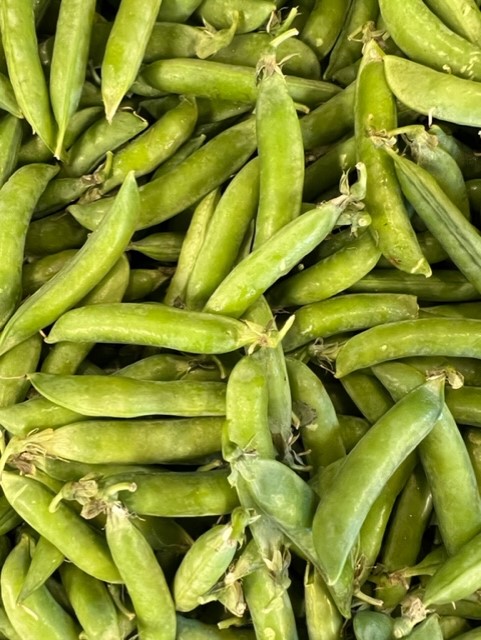 shell pea