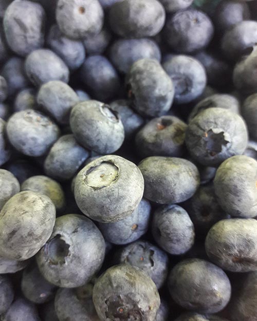 Blueberry Bash