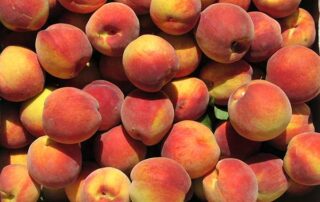 Peaches