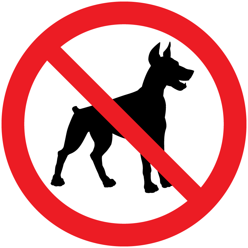 No Pets Allowed No Pets Allowed