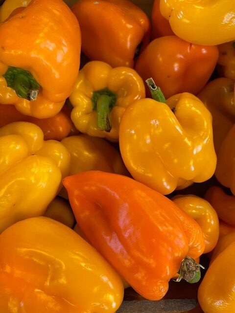 peppers yellow