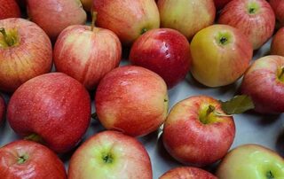 Apples