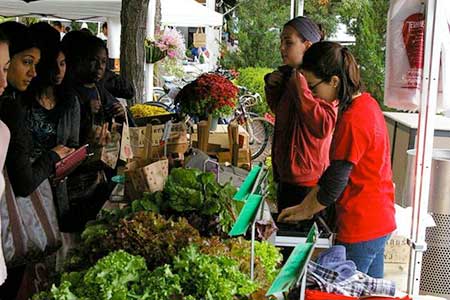 Farmer's Market