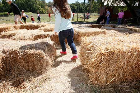 Hay Bale Maze