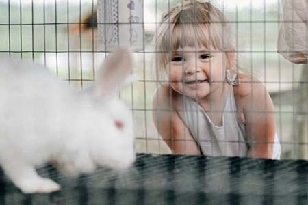 Girl meeting bunny