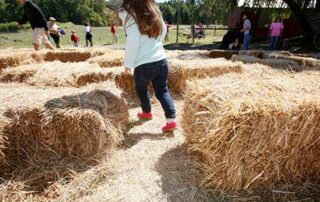 Hay Bale Maze