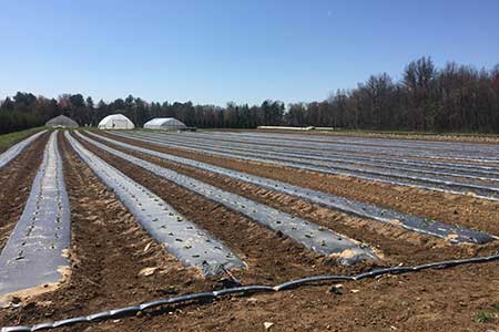 Water Conservation Water Conservation