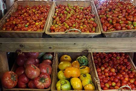 Tomatoes Tomatoes