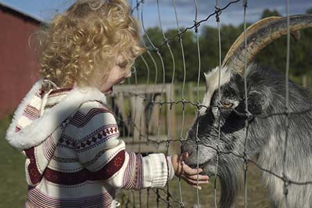Girl with Goat Girl with Goat