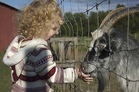 Girl with Goat