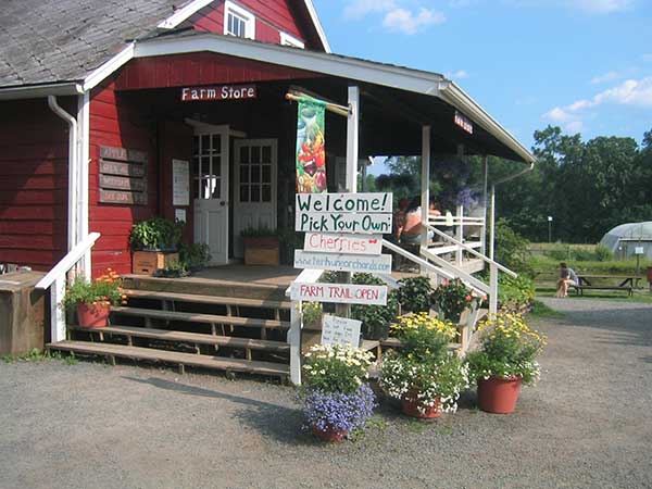 Terhune Farm Store