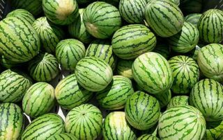 Watermelon