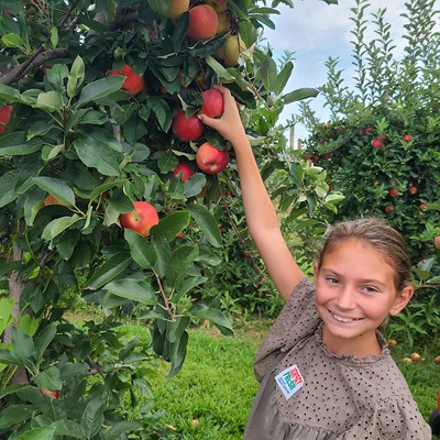 apple pick sq 2