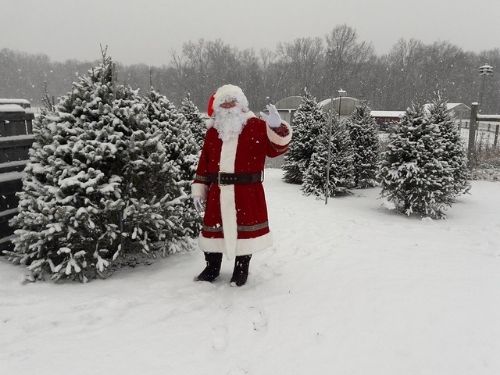 santa with christmas trees