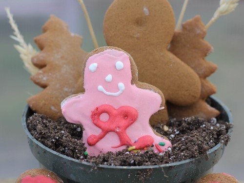 read & explore gingerbread pot
