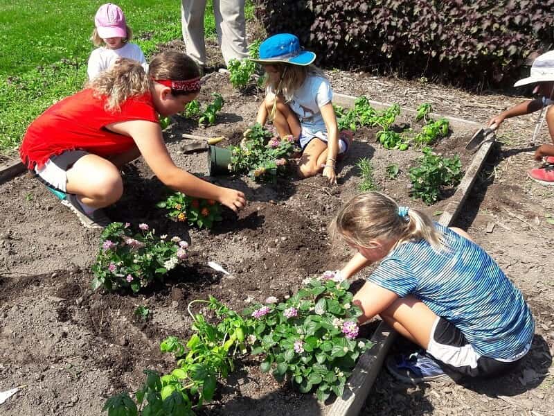 farm camp planting