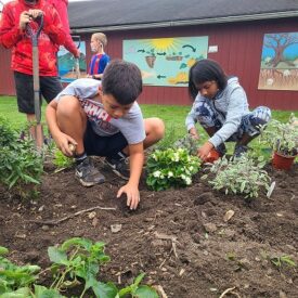 summer camp planting 2021