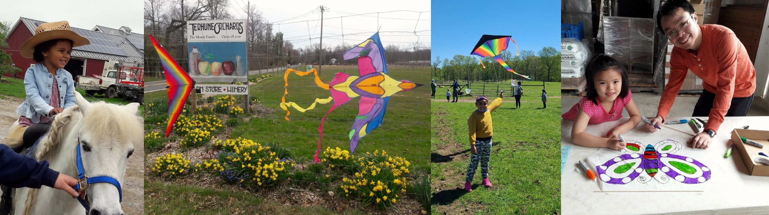 kite day collage slider