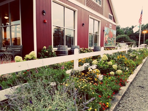 wine barn flower garden