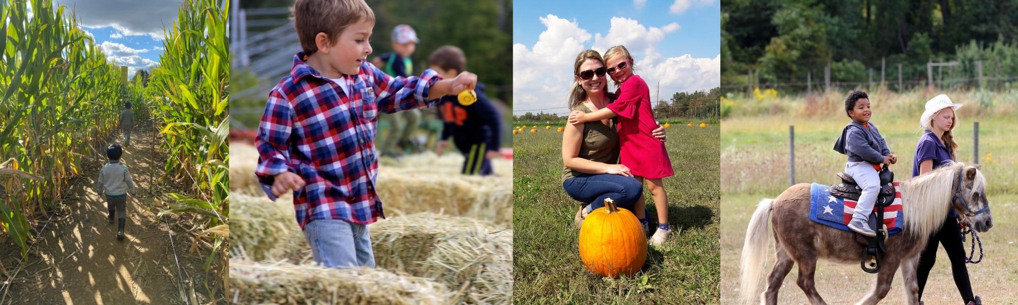 Fall festival banner v2