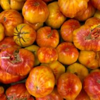 tomatoes heirloom marvel stripe tomatoes heirloom marvel stripe