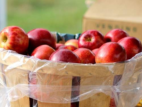 apple basket