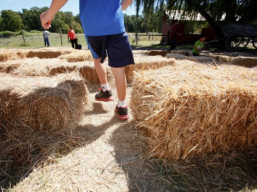 feet hay bale maze