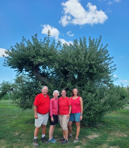 in celebration of old trees with family