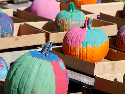 painted pumpkins