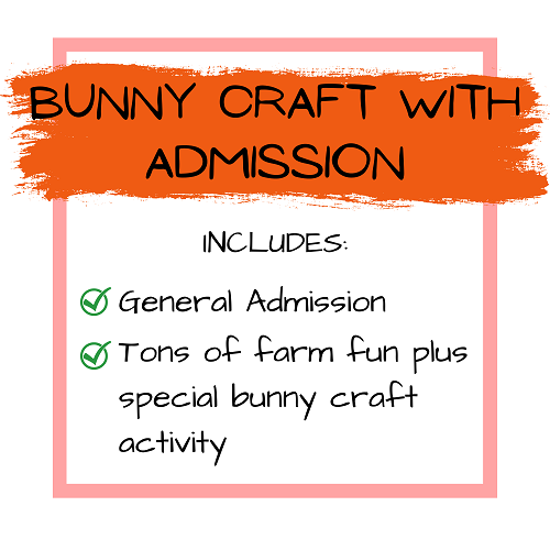 Bunny Admission package 2