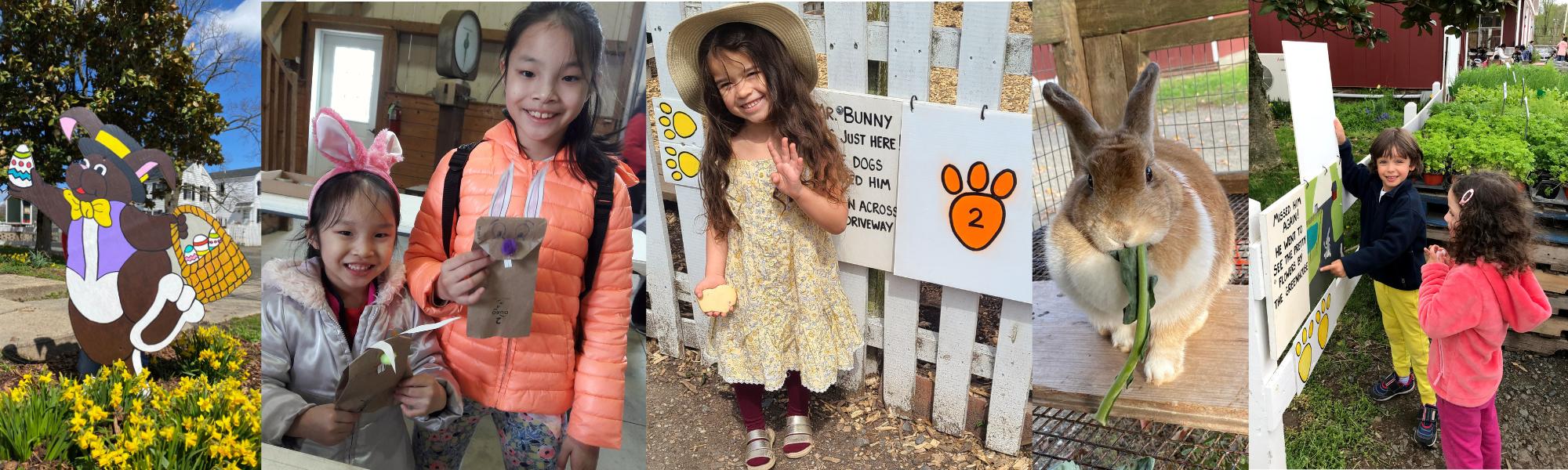 Bunny trail banner 2023