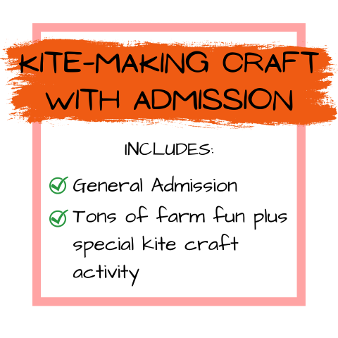 Kite Day Admission package 2 (Small)