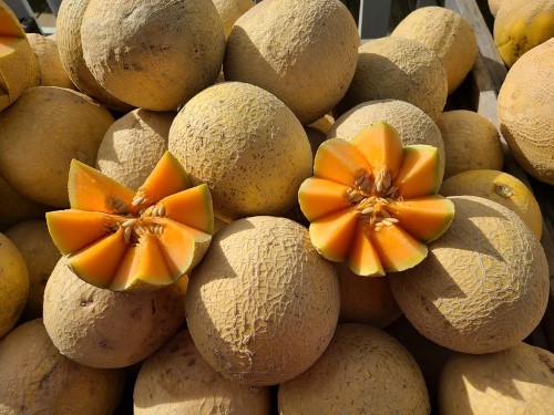 cantaloupes