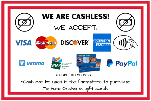 cashless - for web small
