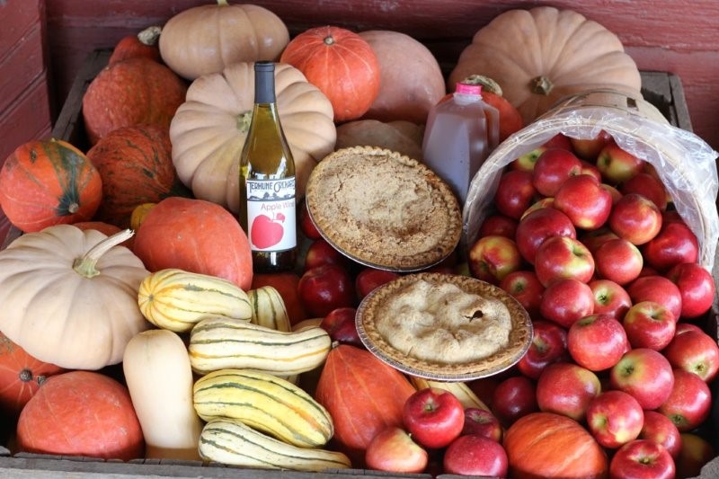 thanksgiving winter squash pie