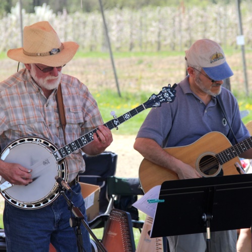 festival band - square