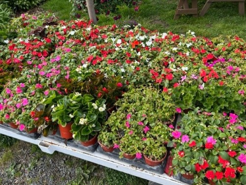 flowers wagon