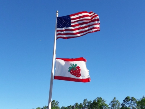 strawberry and american flag