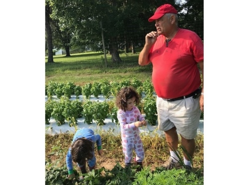 Gary, Clay and Hattie picking green beans