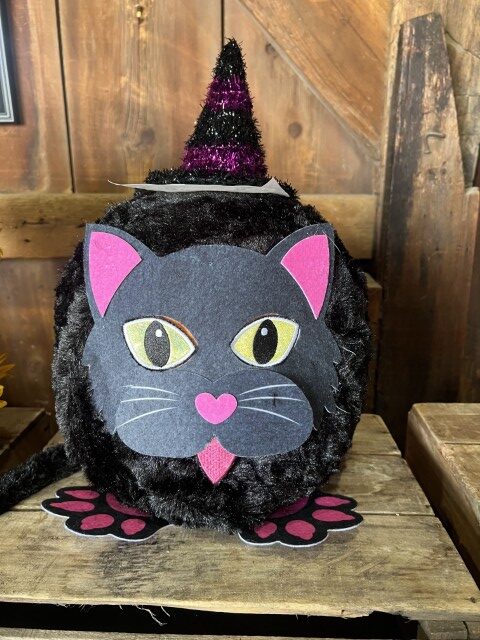 black cat