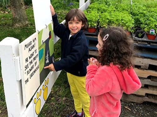 bunny trail hattie and clay bunny trail hattie and clay