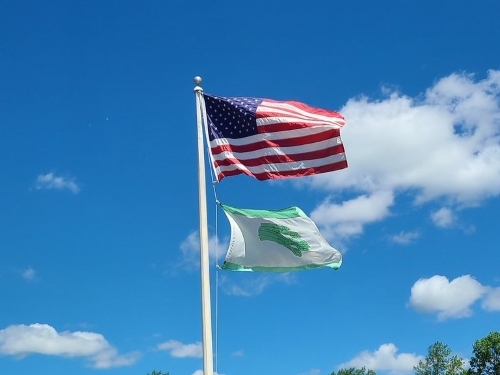 asparagus flag asparagus flag