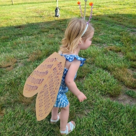 firefly wings