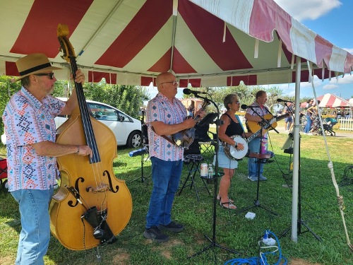 festival band