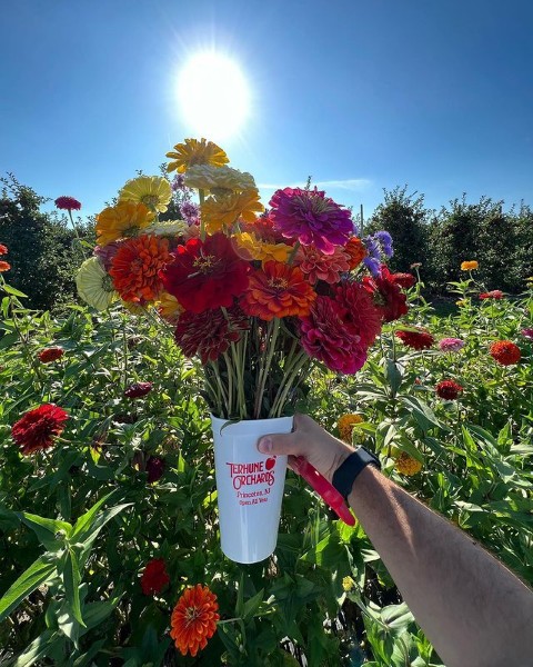 flower cup