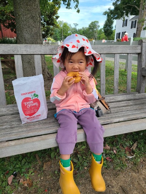 little girl eating donut